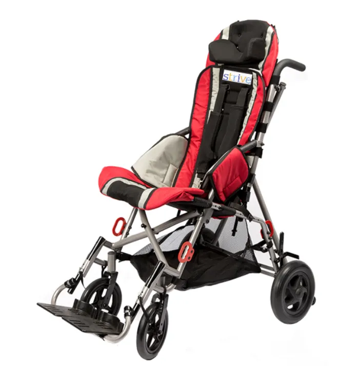 Strive to Be Better: Comparing the Strive Special Needs Stroller and the Trotter Mobility Chair